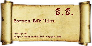 Borsos Bálint névjegykártya
